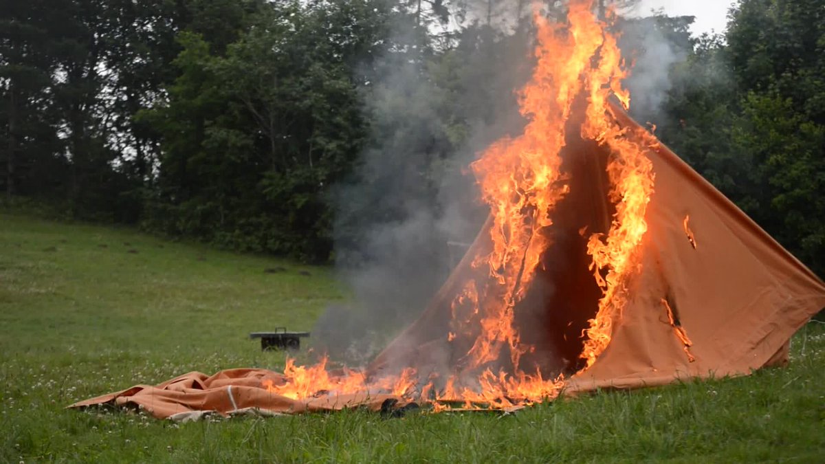 𝐏𝐀𝐋𝐀𝐃𝐈𝐍 ᵒᶠ 𝙱𝙷𝙰𝙰𝙻 . tweet media