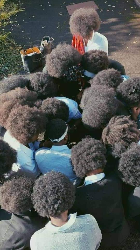 African Hub tweet media