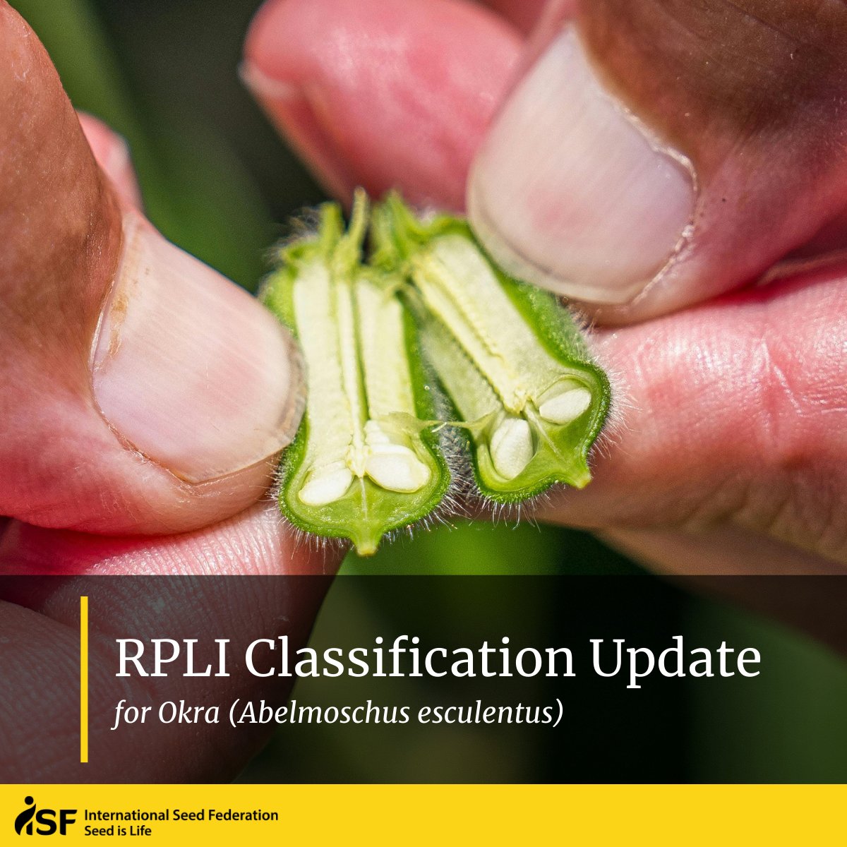 International Seed Federation tweet media