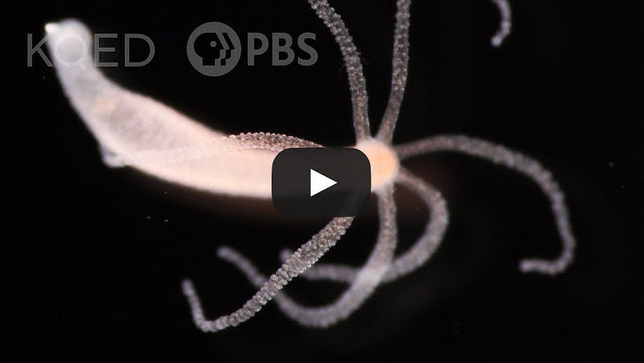 Tony Seruga tweet media