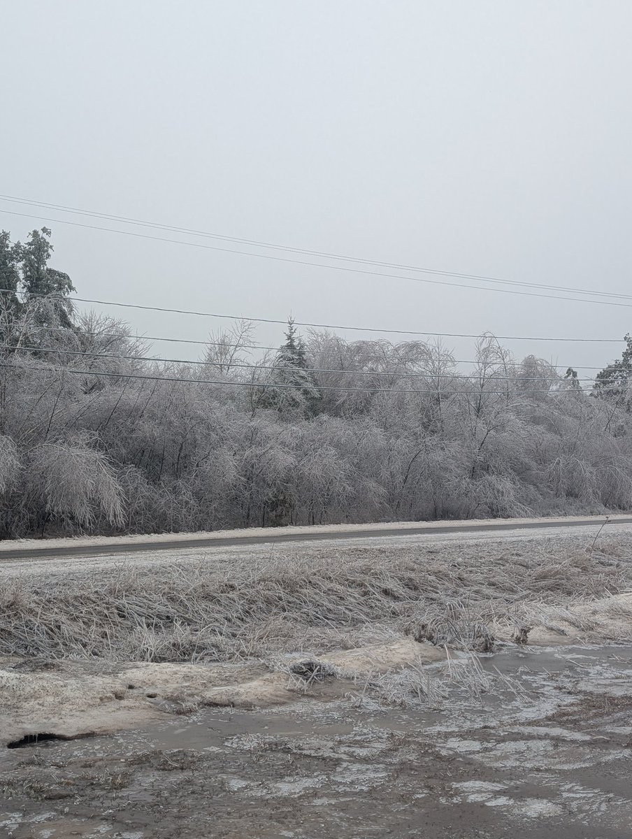 MarwoodLtd's tweet photo. It's icy out there ❄️ Roads are slick, and winter isn't holding back today - but neither are we. At Marwood, our team shows up, works hard and keeps things moving no matter the weather. https://t.co/TFugiXqURS