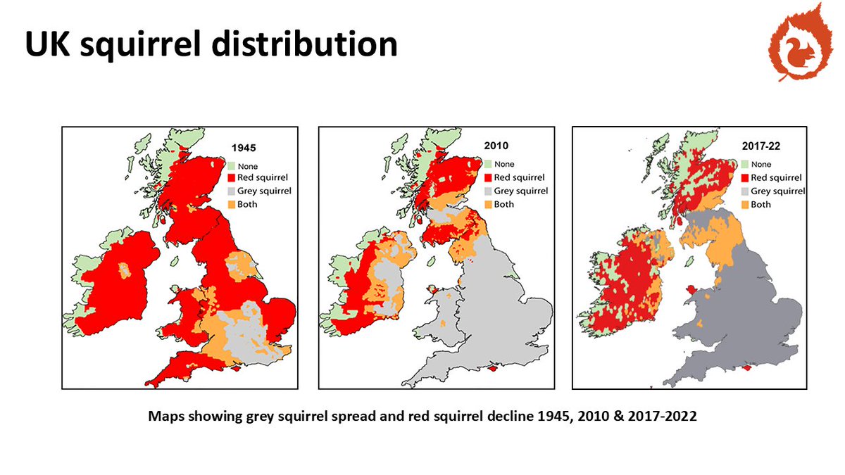 Maico Weites tweet media