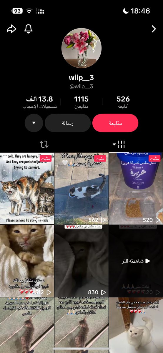 العنزي 🇸🇦 moon🇰🇷🇯🇵 tweet media
