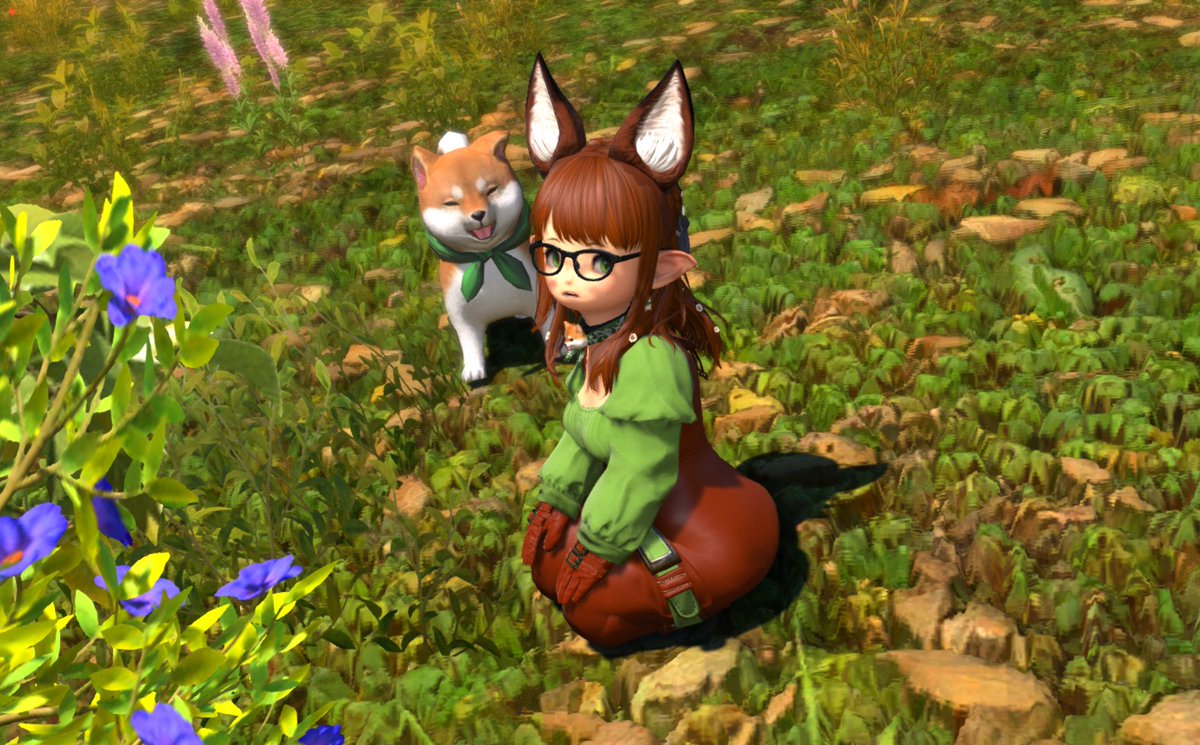 🌼Chizuru Ibuki🌼 tweet media