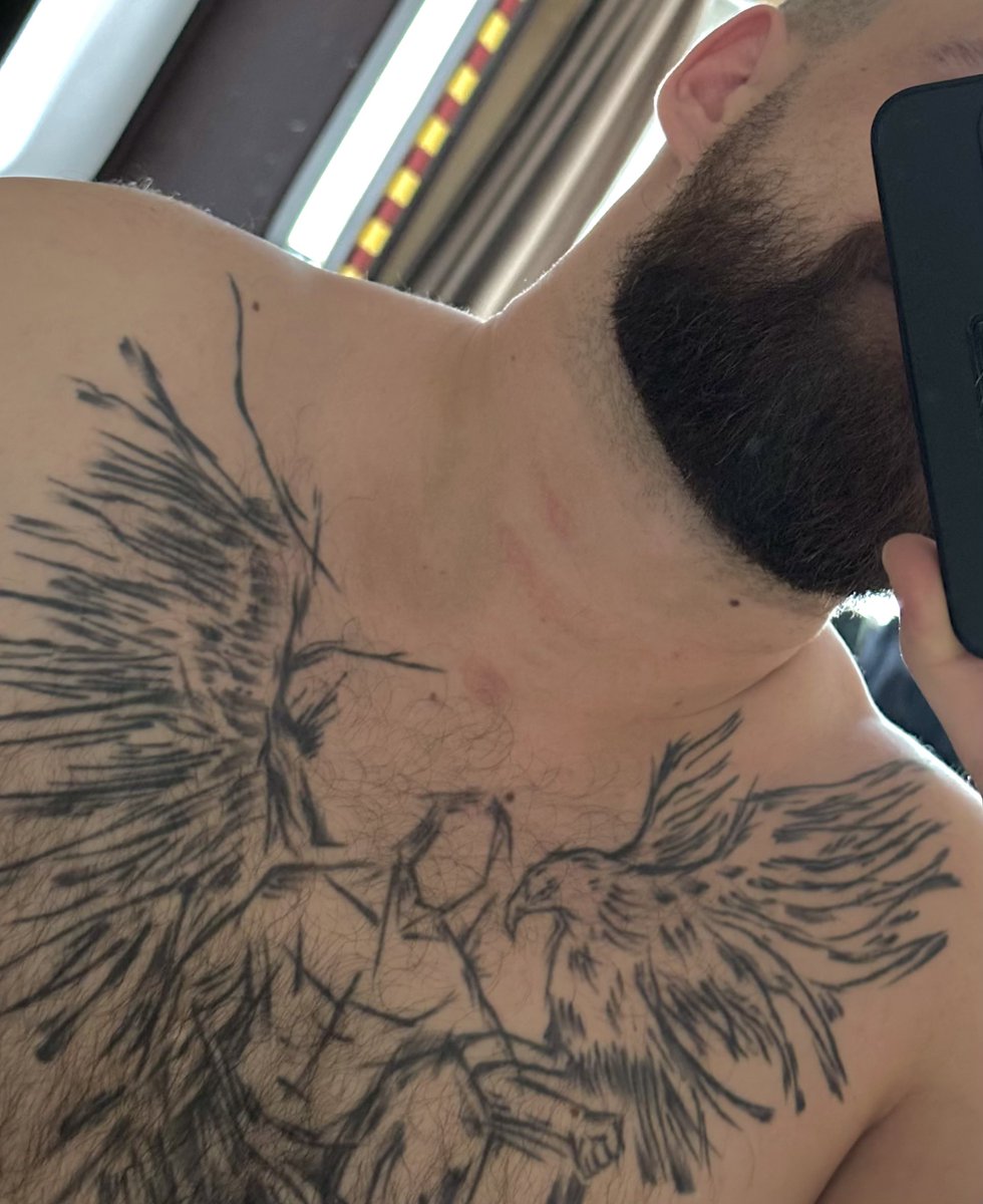 beardie_man tweet media