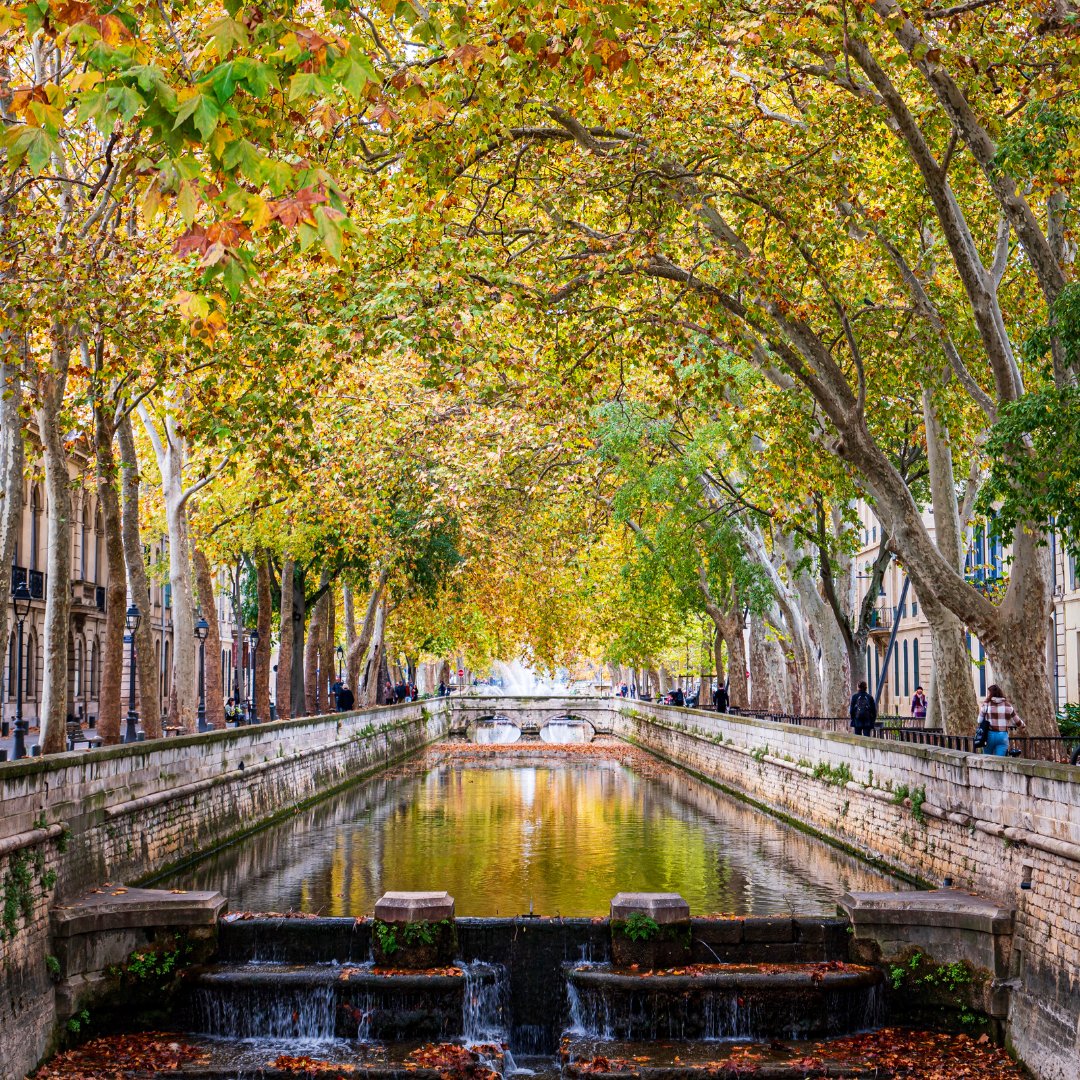 TGV INOUI España tweet media