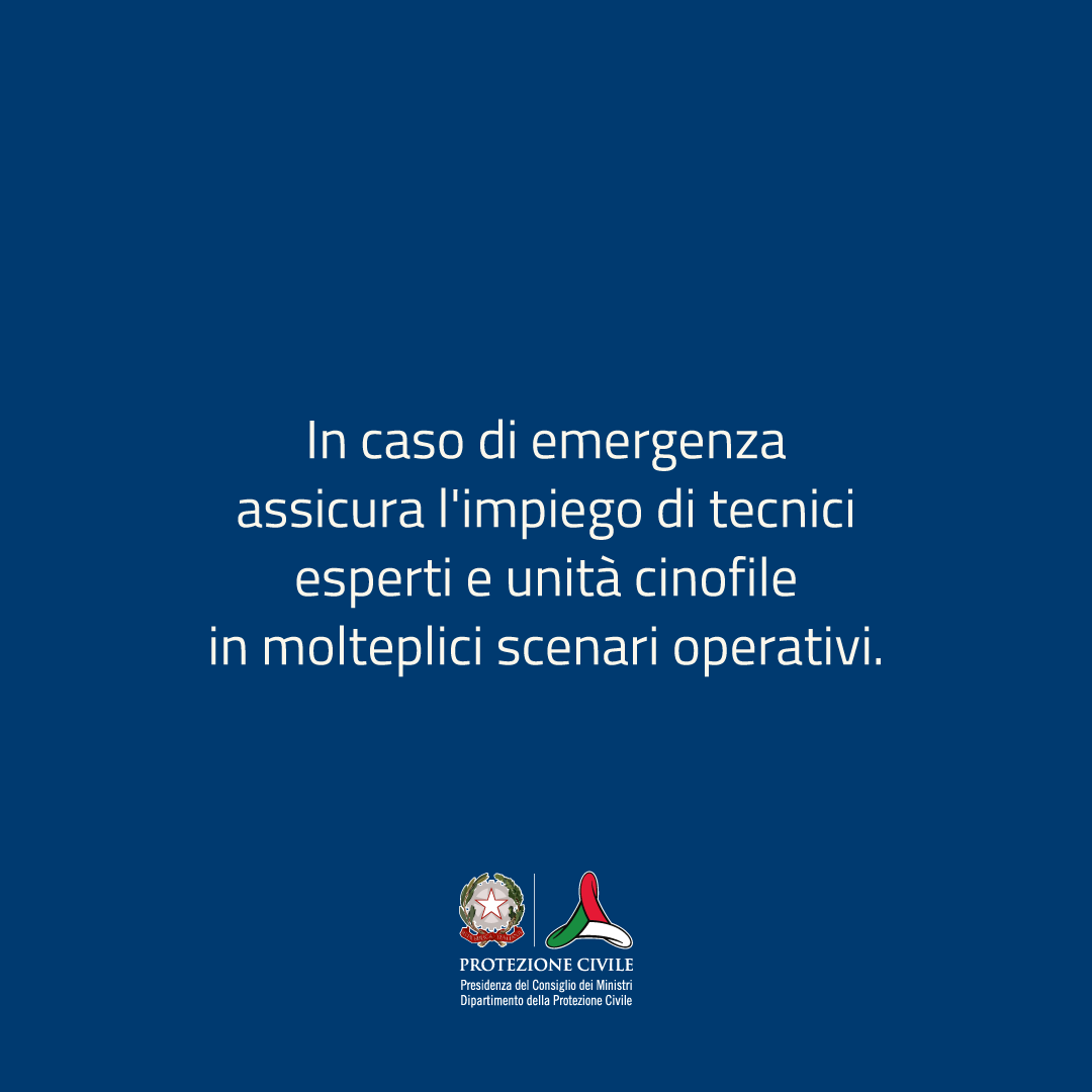Dipartimento Protezione Civile tweet media
