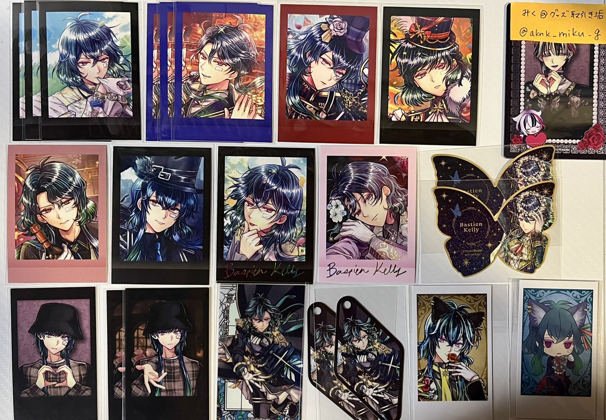 交換買取譲渡希望】 あくねこ 悪魔執事と黒い猫 ぱしゃこれ アニメイト 