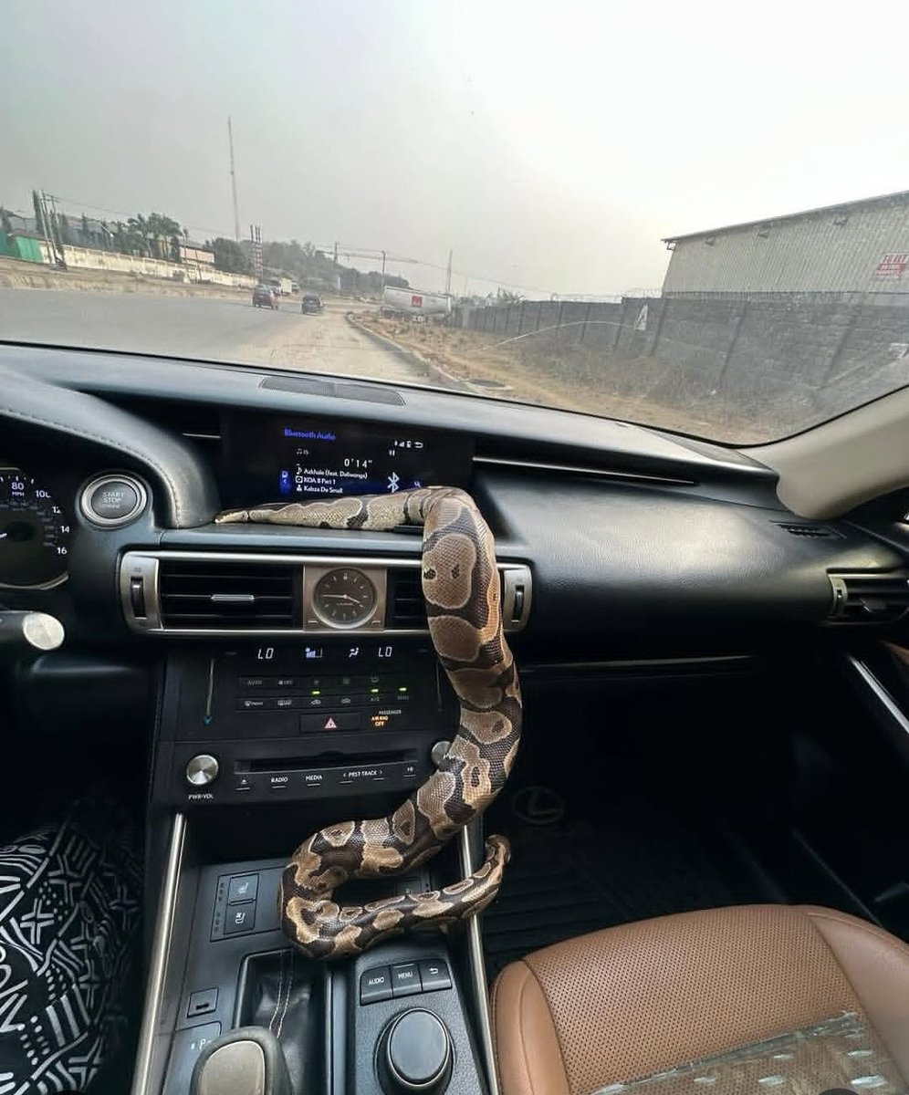 Unbroken tweet media