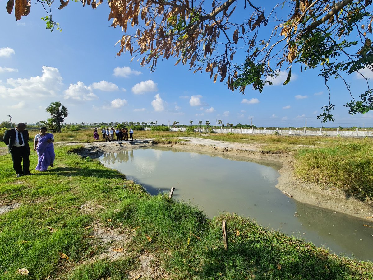 செம்மணி மனிதப் புதைகுழி அகழ்வு எதிர்வரும் மாதம் 20 ஆம் திகதியளவில் ஆரம்பிக்கப்படும் என்று தெரிவிக்கப்பட்டுள்ளது.