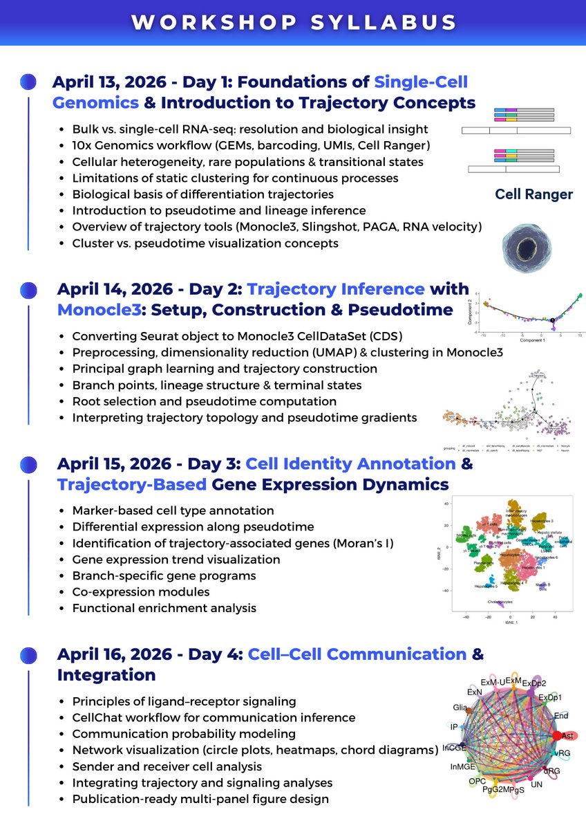 OmicsLogic's tweet photo. 🚨𝟒-𝐃𝐚𝐲 𝐇𝐚𝐧𝐝𝐬-𝐎𝐧 𝐎𝐧𝐥𝐢𝐧𝐞 𝐖𝐨𝐫𝐤𝐬𝐡𝐨𝐩 𝐨𝐧 𝐒𝐢𝐧𝐠𝐥𝐞-𝐂𝐞𝐥𝐥 𝐑𝐍𝐀-𝐒𝐞𝐪 𝐃𝐚𝐭𝐚 𝐀𝐧𝐚𝐥𝐲𝐬𝐢𝐬! 🧬💻

🔗 𝐑𝐞𝐠𝐢𝐬𝐭𝐞𝐫 𝐡𝐞𝐫𝐞: https://t.co/f3CPnHh43G

#SingleCellRNASeq #scRNAseq #TrajectoryAnalysis #CellCellCommunication https://t.co/0Rxnb1zUP1