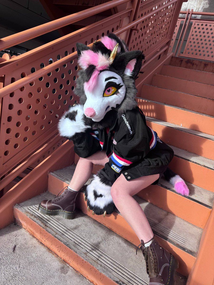 ¡shiba! tweet media