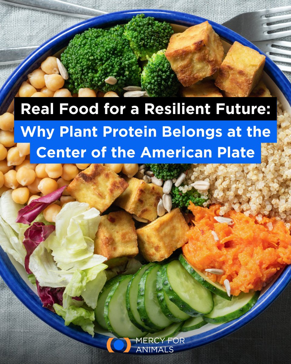 Mercy For Animals tweet media