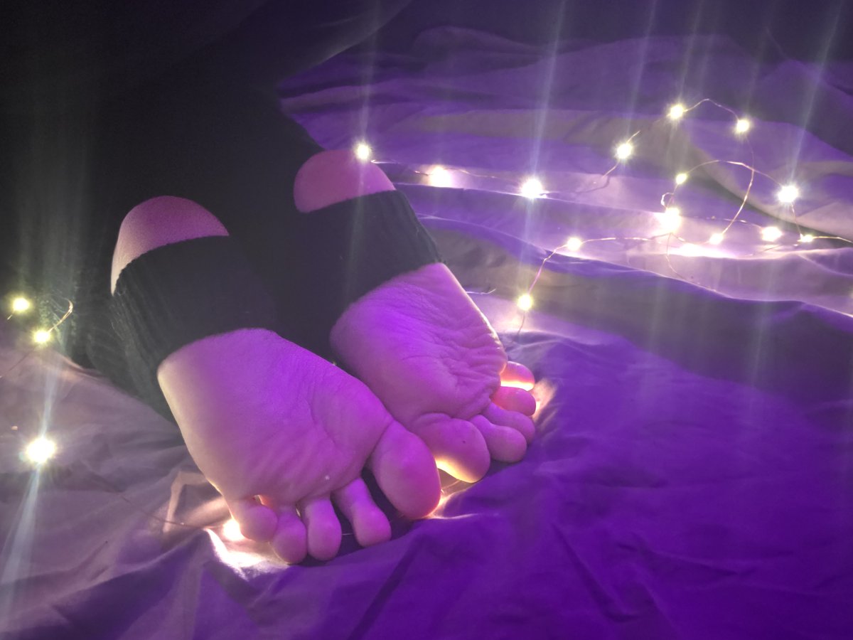 Kitsu - Pre-Debut Lewdtuber tweet media