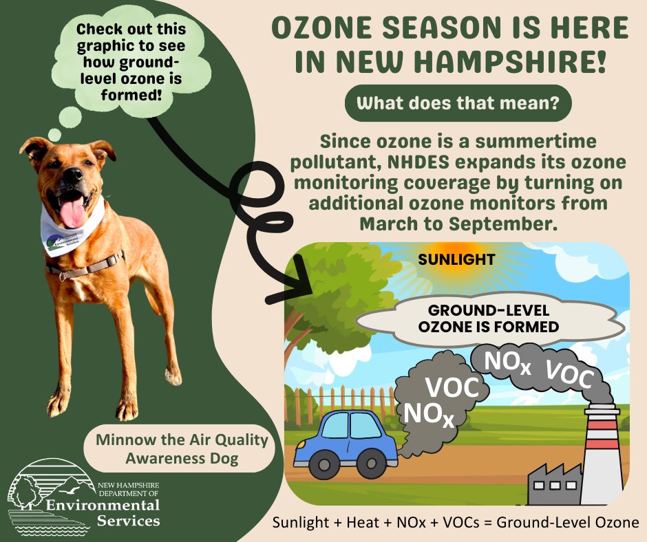 NH Dept Env Services tweet media