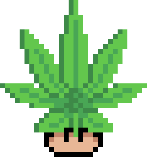 p4rma 🪃 tweet media