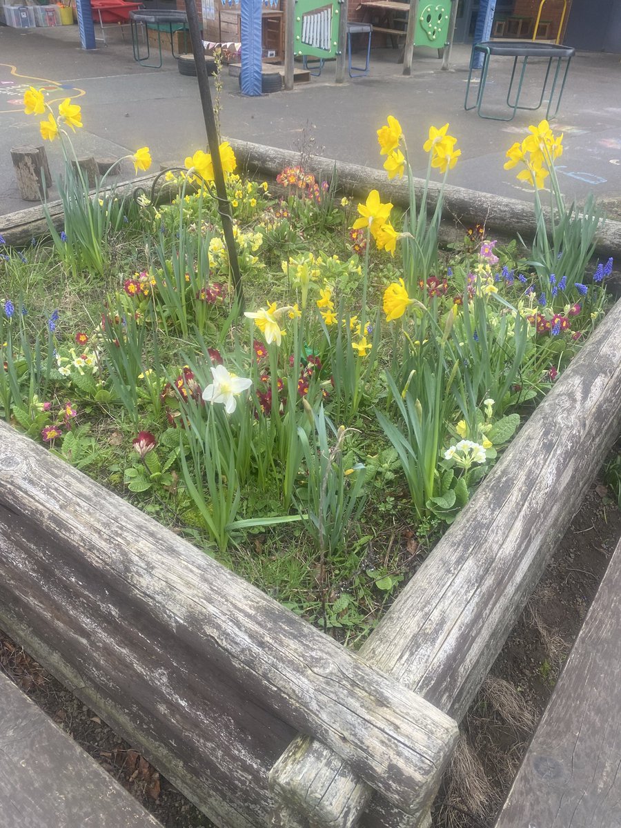 Ferham Primary tweet media