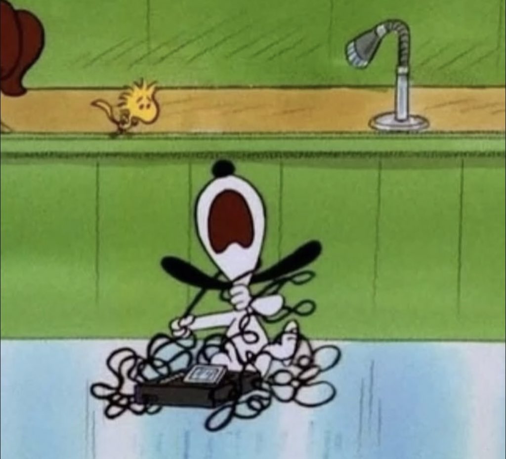 snoopy lover (@snoopyfever_) on Twitter photo 