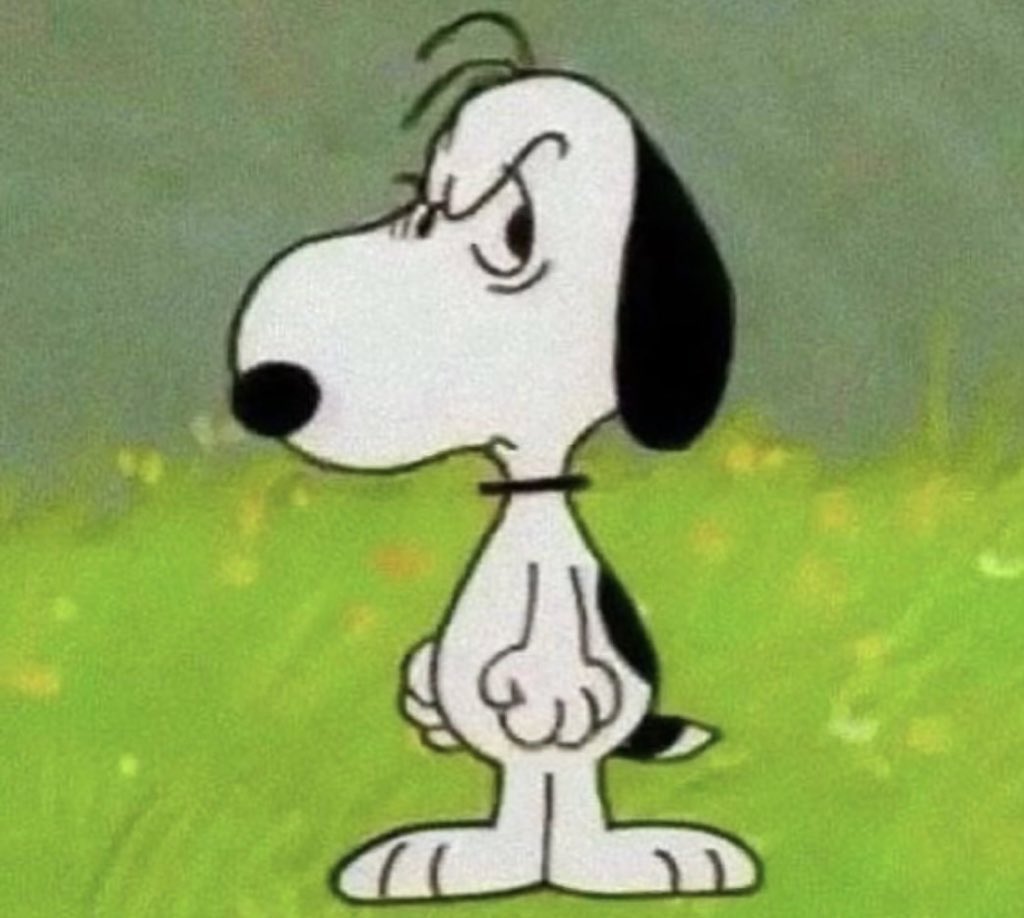 snoopy lover tweet media