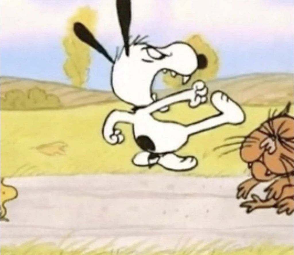 snoopy lover tweet media