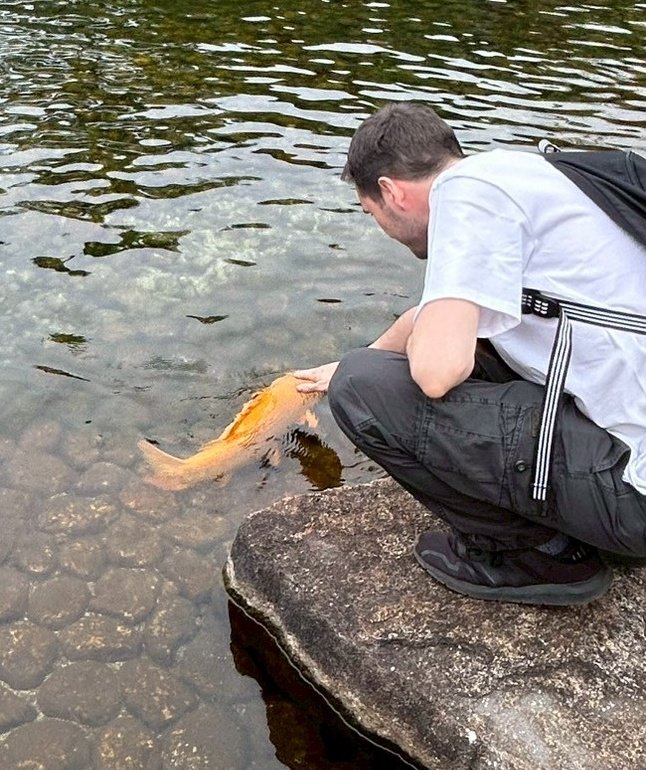 JaymesHanson tweet media