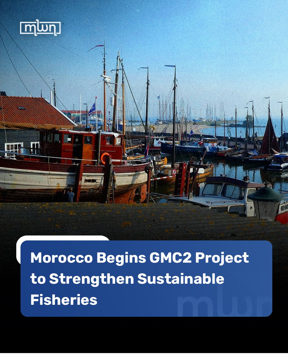 MoroccoWNews's tweet photo. #Morocco has launched the five‑year #GMC2 sustainable fisheries project.

This new initiative aims to #strengthen responsible fishing practices, protect key marine #stocks like sardines and anchovies.

It will also boost sustainable seafood value #chains with support from #UNDP, the Global Environment Facility and international partners.

Read more: https://t.co/9qpNSYqD7u

#Morocco #SustainableFisheries #GMC2Project #MarineConservation #UNDP #GlobalEnvironmentFacility #BlueEconomy