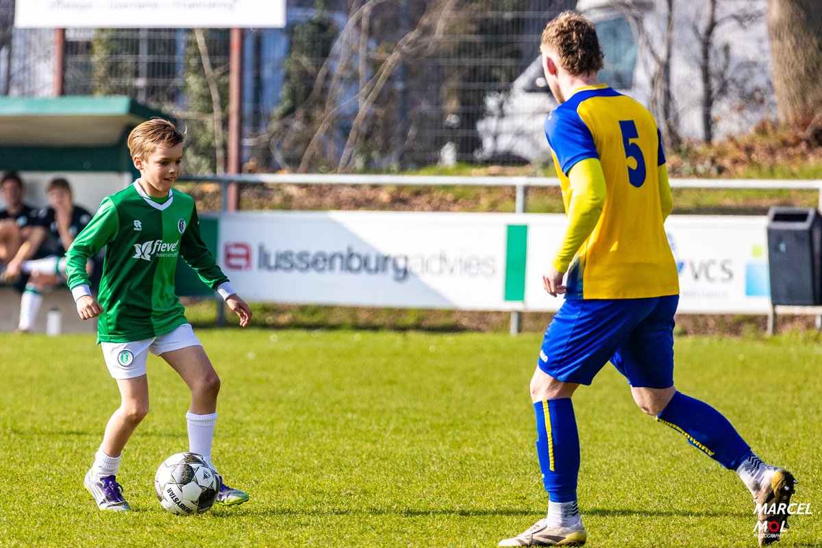 V.V. Bavel tweet media