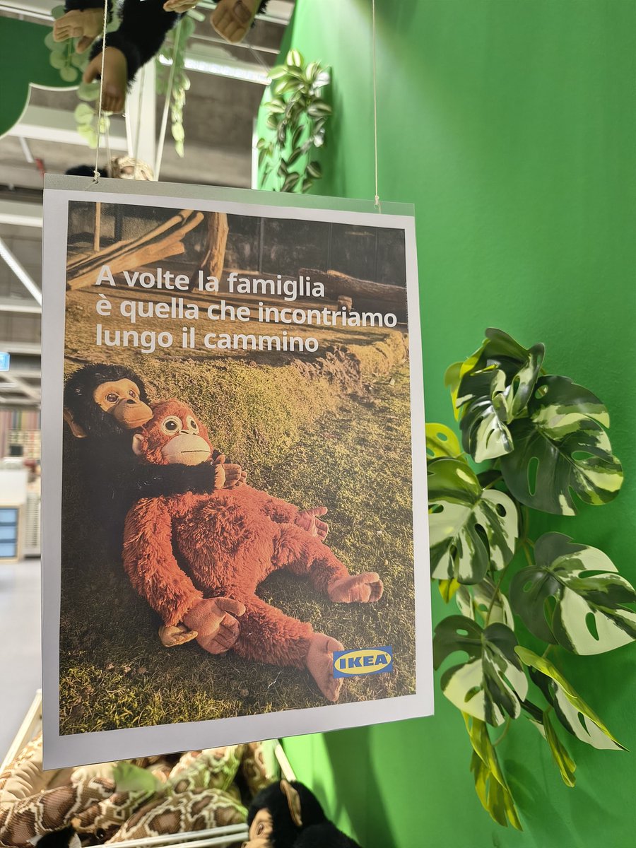 Marti 🪴🪴 tweet media