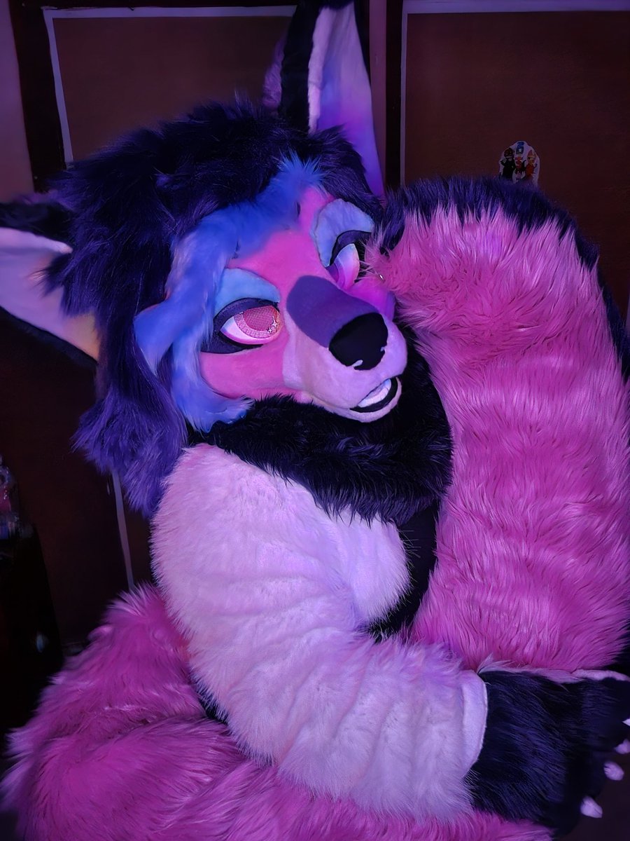 SuitcheesF's tweet photo. TERMINADO y hasta con un lindo vestido para esta linda dama ✨️💕#furmaker #FURFUR #furrysuit #fursona #fursufter #fursuft #fursuiter #furryfriends #furrycommunity #furryconvention https://t.co/nHoKcdCtmL