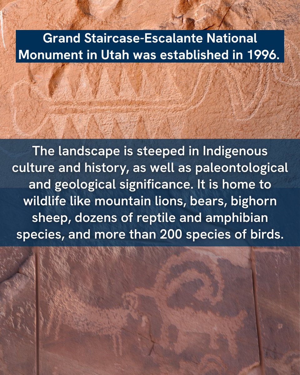 National Wildlife Federation Action Fund tweet media