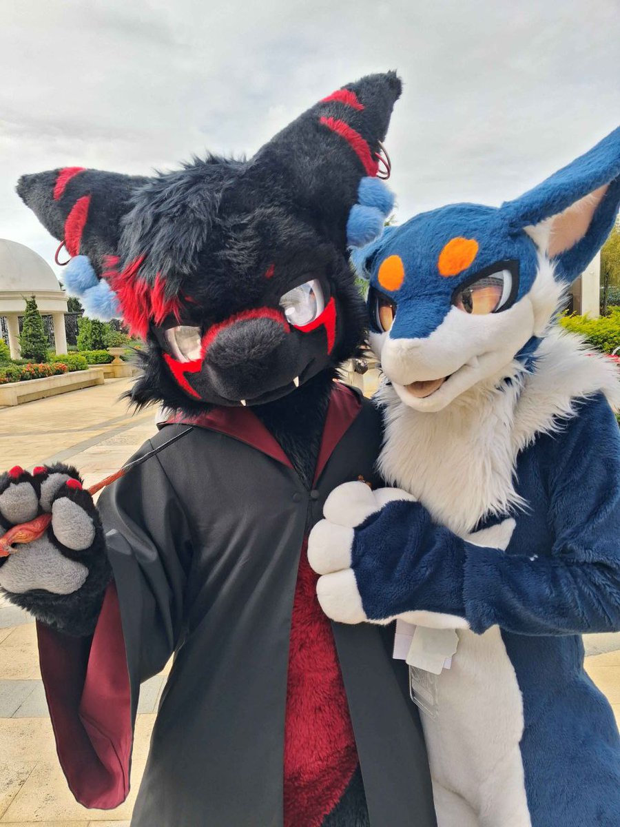 可愛🐉🐉～❤️
🐉： <a href="/obsidiandrakee/">黒曜石🔜UTFG🔜OFFF</a>
📷： <a href="/miaohuxian11/">喵狐仙</a> 
#FursuitFriday  #Infurnity2025