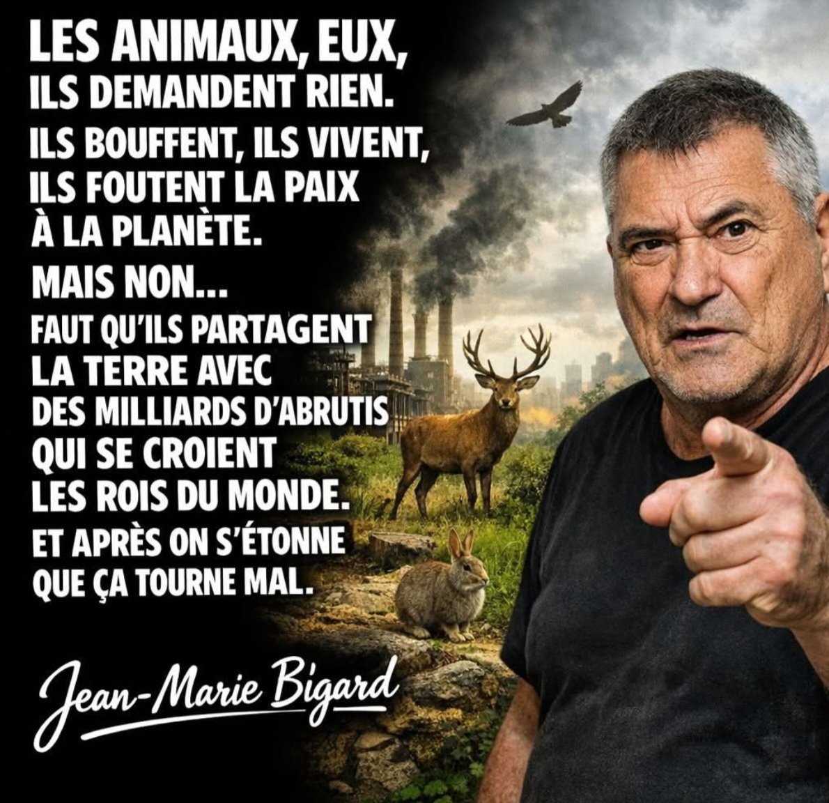 PBE 🦔🌳🐤🐾 tweet media