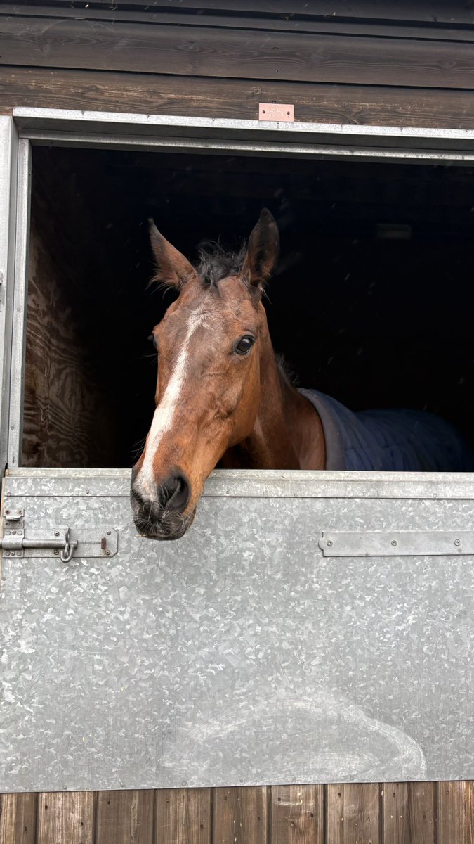 Shark Hanlon Racing tweet media