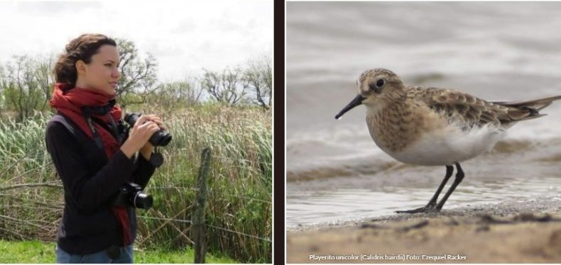 Aves Argentinas tweet media