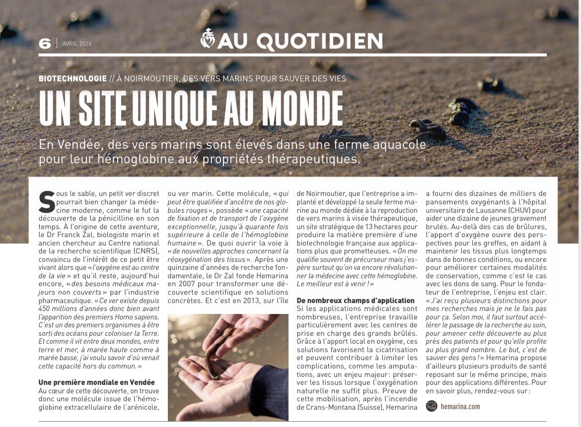 Hemarina tweet media