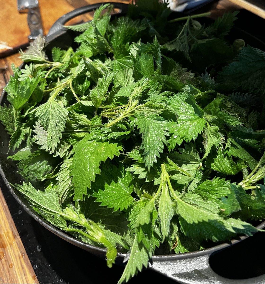 OtisAndKimchi's tweet photo. Making nettle soup #foraged #nettle #minerals https://t.co/QsKRxQTjzv