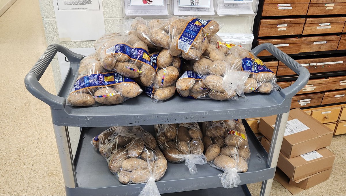 𝗝𝗩𝗟😺 tweet media