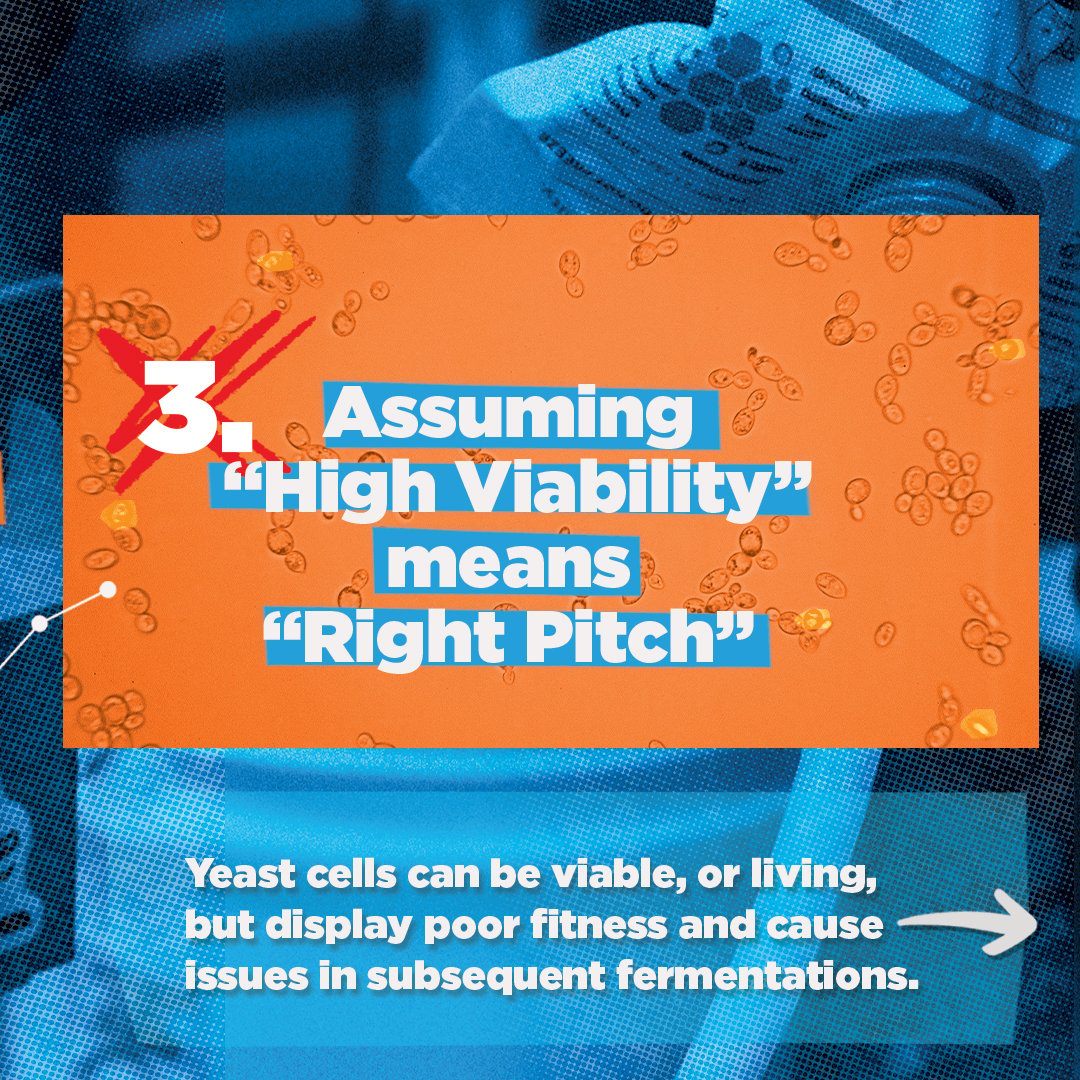 whitelabs's tweet photo. A pitch rate should be treated as any other type of ingredient measurement.  Accurate rates are key for consistent fermentation performance and flavor. 

Check out our latest blog to learn more! https://t.co/QTU1yIO6oK https://t.co/O7I1DfFHwc