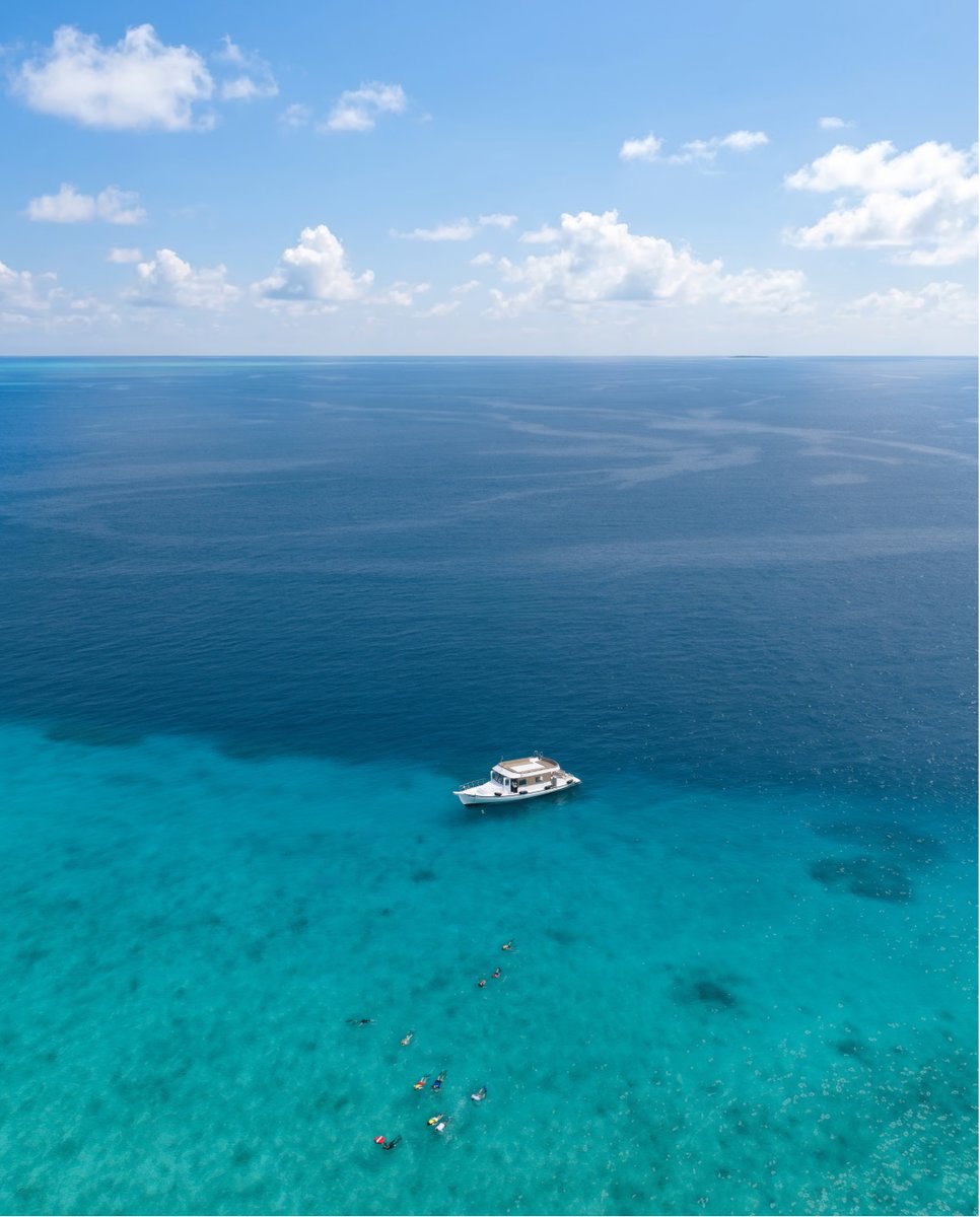 Kuredu Island Resort & Spa tweet media