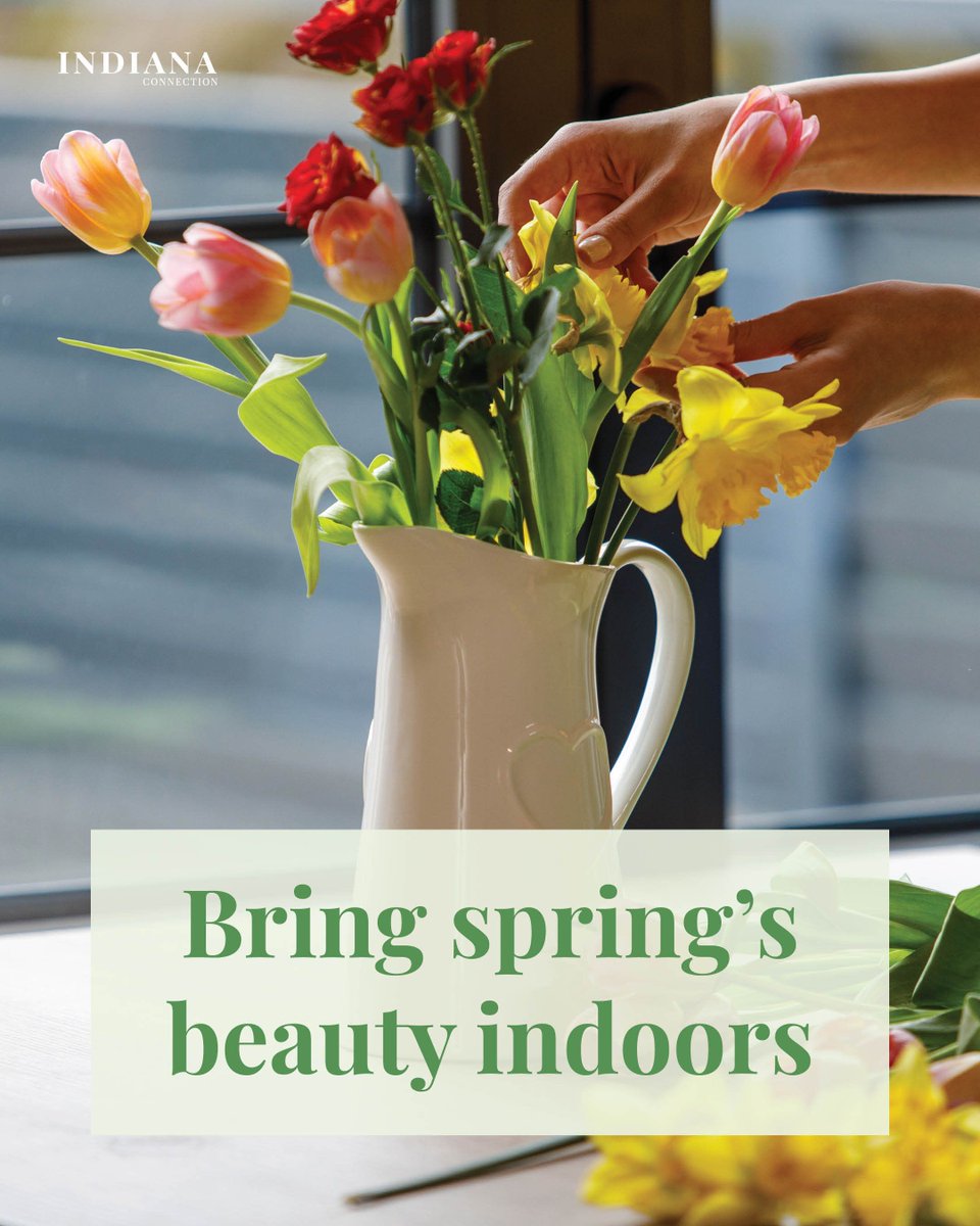 Indiana Connection tweet media