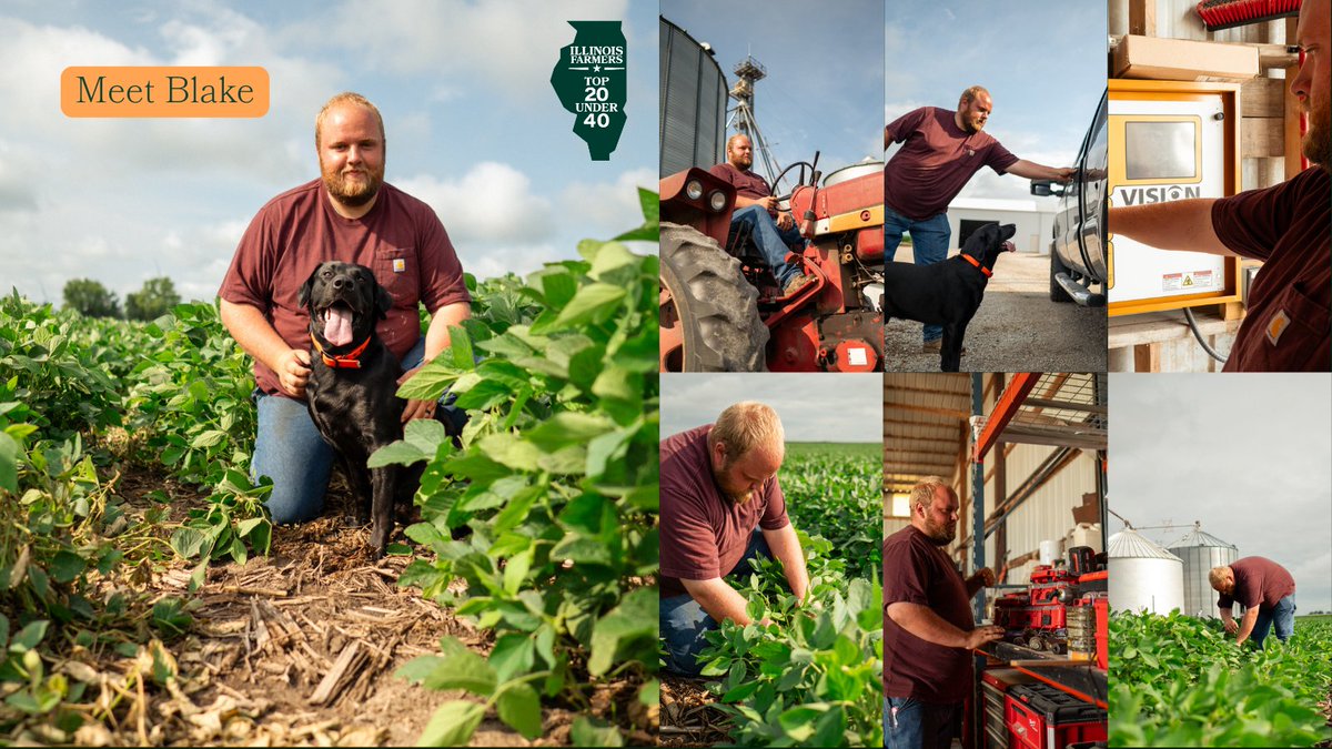 Illinois Soybean Association tweet media