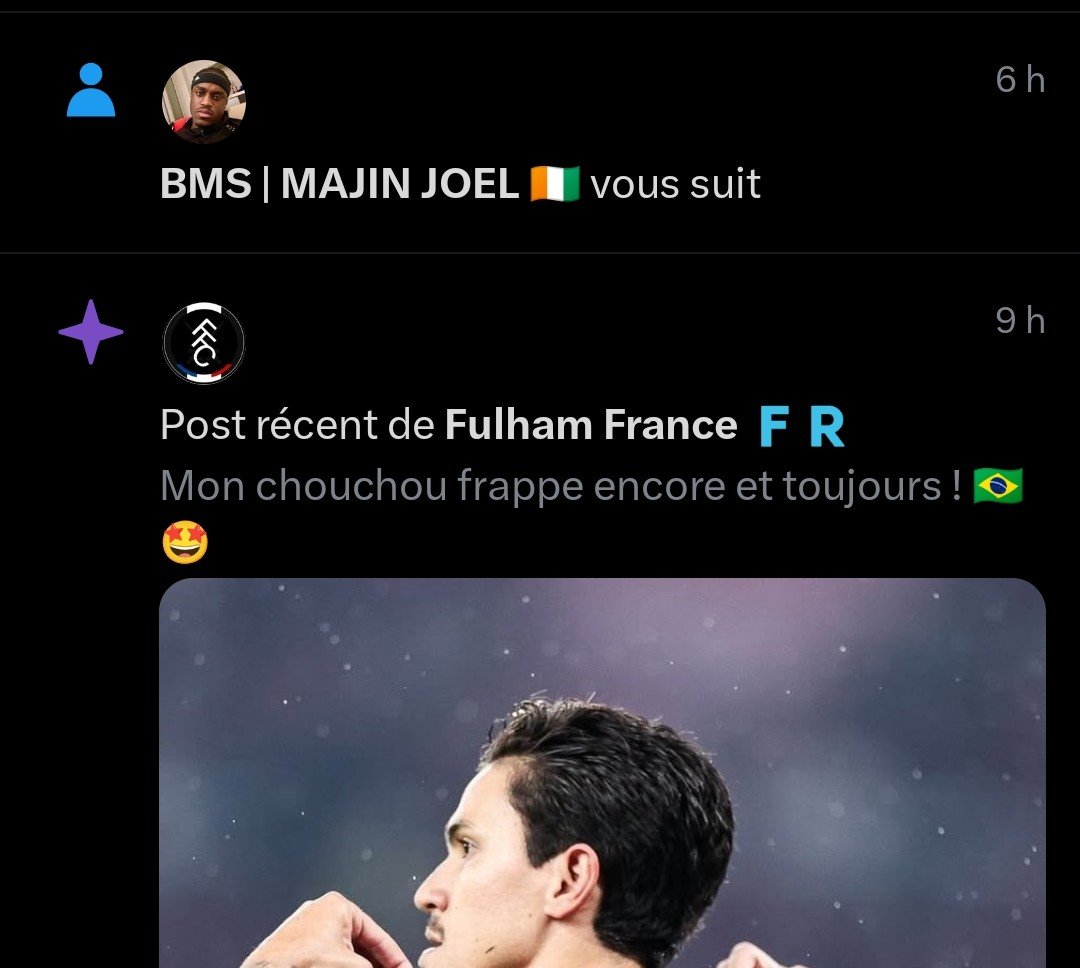 Wolves France🇫🇷🇵🇸 tweet media