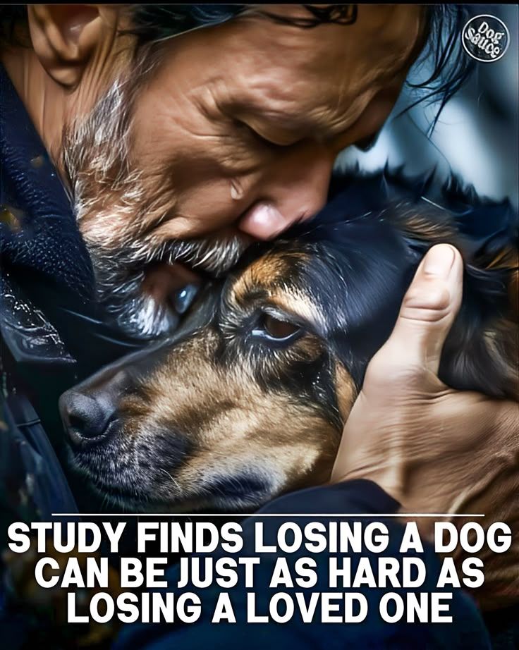 Dog Lovers tweet media