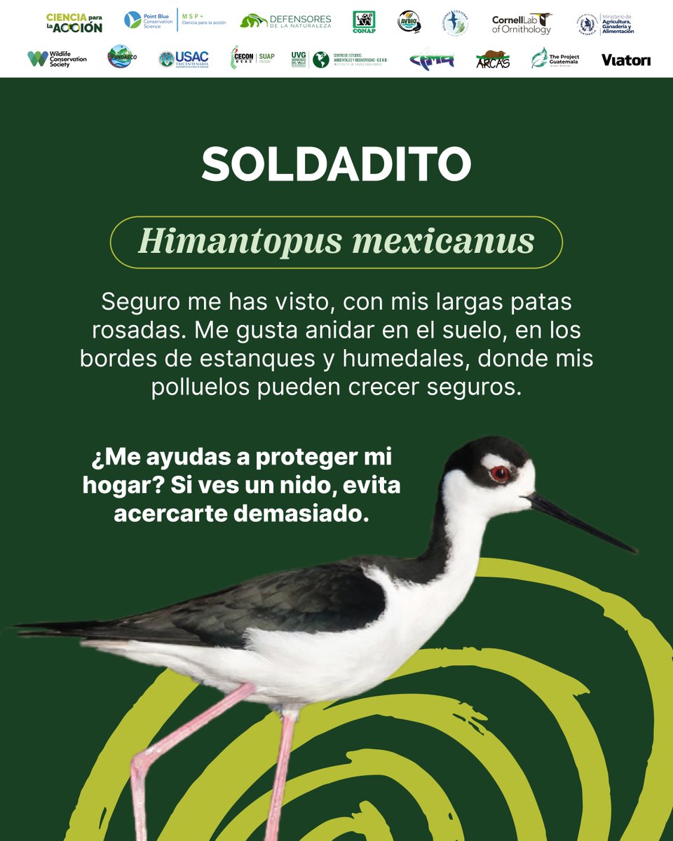 Defensores de la Naturaleza tweet media