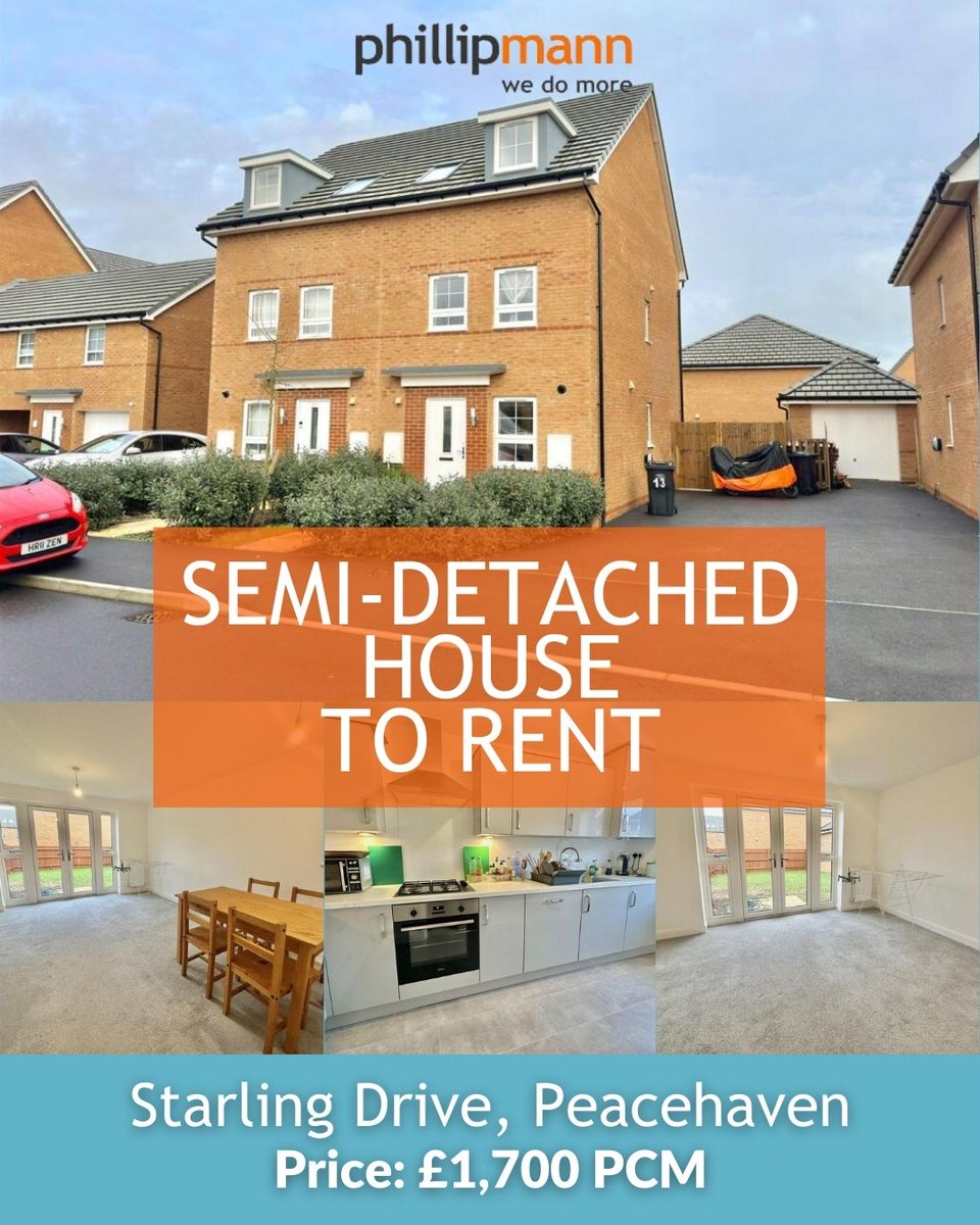 Phillip Mann tweet media