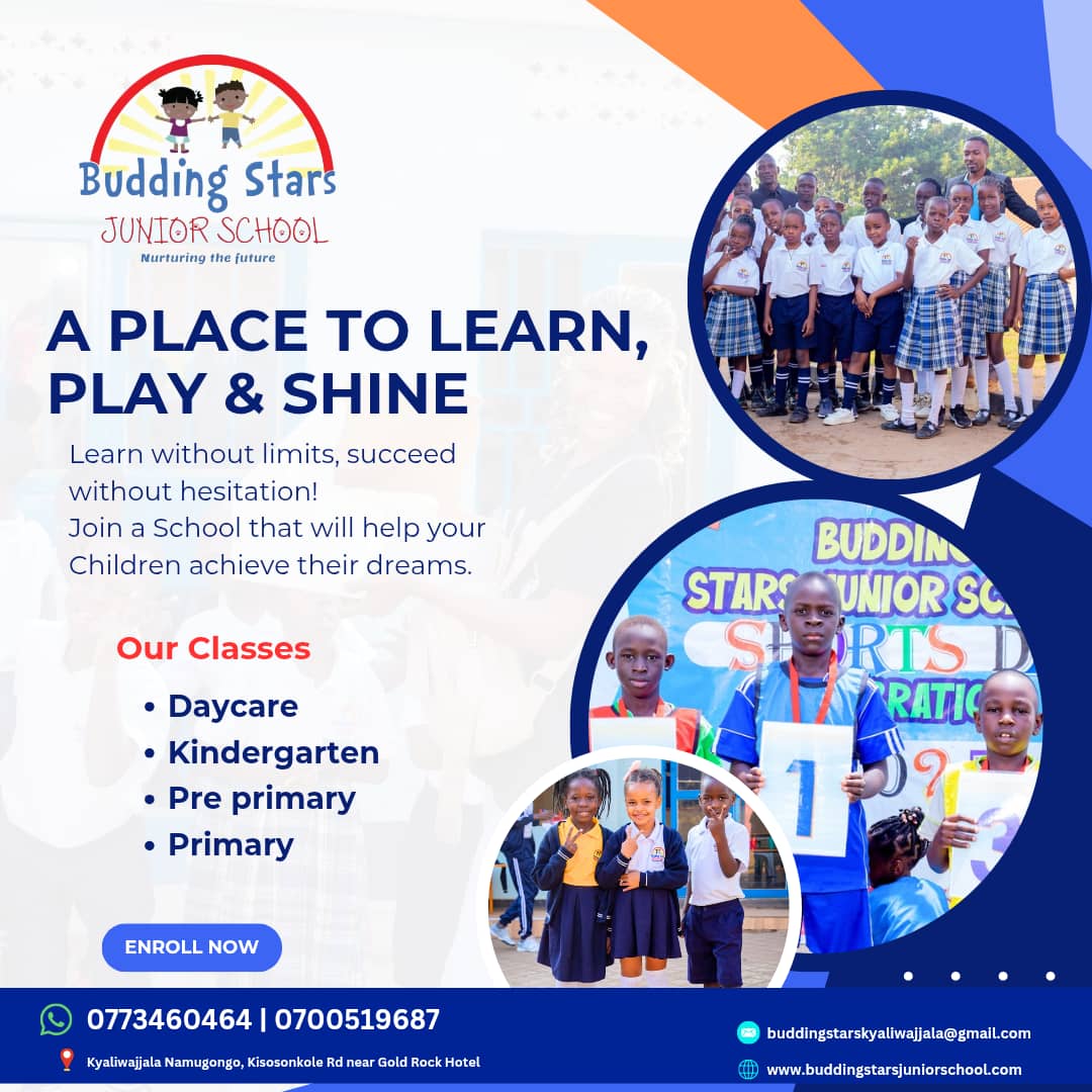 Budding Stars Junior School tweet media