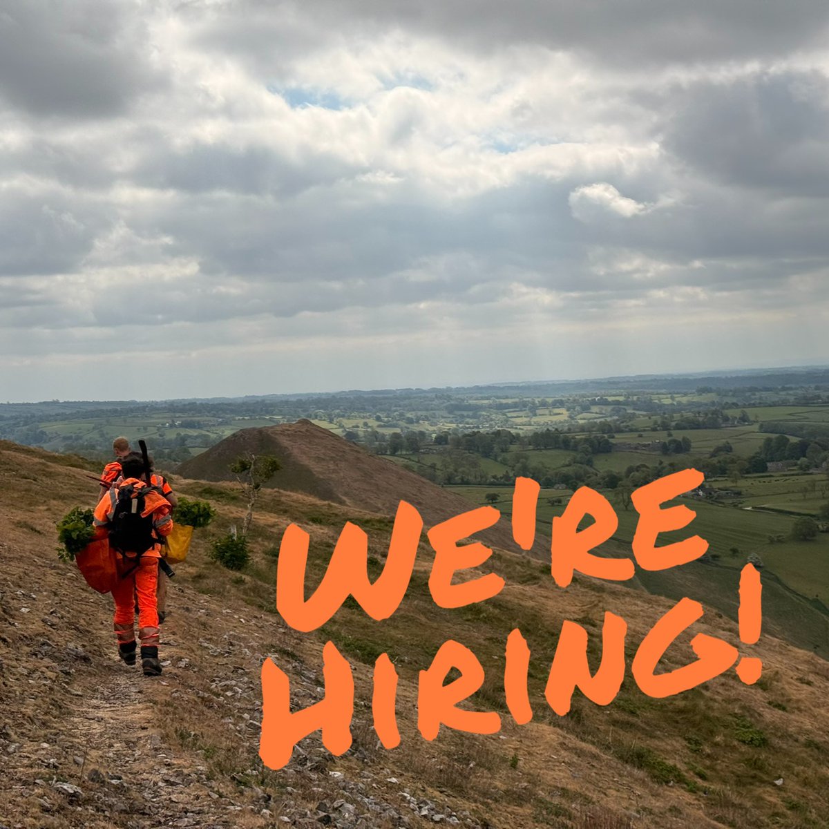 LIFEintheRavines tweet media