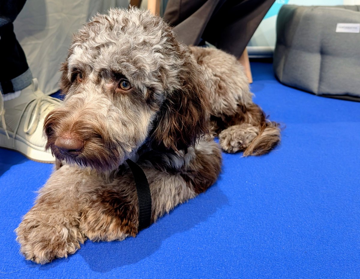 CorazonHealth's tweet photo. This week our team has stepped away from the desks and attended the annual @HWatWork conference at @thenec. 
📢 The key message from the conference: to achieve sustained, long-term success, an organisation must place employee health and #wellbeing at the heart of its strategy. https://t.co/1d7au3oEYp