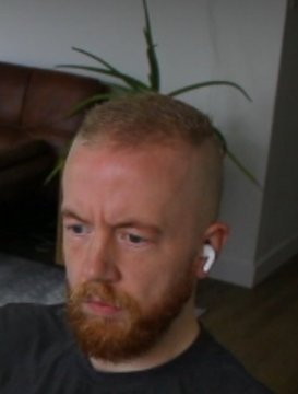 Ooktism! tweet media