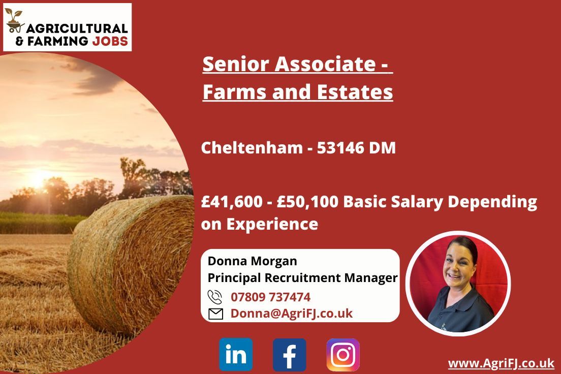 Agriculturaljob's tweet photo. New Job Opportunity - Senior Associate - Rural Farms and Estates 
📍 Cheltenham
💰 £41,600 - £50,100 Basic Salary 

For further information and to apply, please contact Donna on; 📞 07809 737474 or 📧 Donna@AgriFJ.co.uk 

#agrifj #seniorassociate #ruralbusiness #solicitor https://t.co/FGMW40FhT7